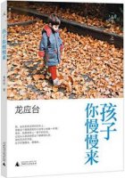 龍應(yīng)臺作品《孩子你慢慢來》簡介、讀后感