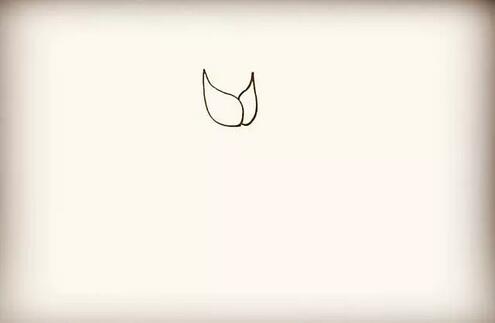 紫玫瑰花簡(jiǎn)筆畫(huà)教程圖片