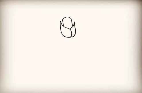 紫玫瑰花簡(jiǎn)筆畫(huà)教程圖片