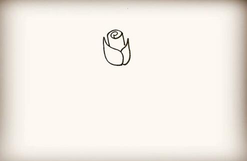 紫玫瑰花簡(jiǎn)筆畫(huà)教程圖片
