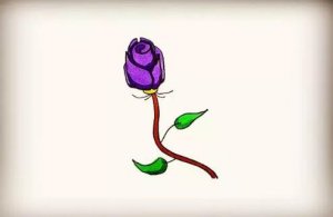 紫玫瑰花簡(jiǎn)筆畫教程圖片