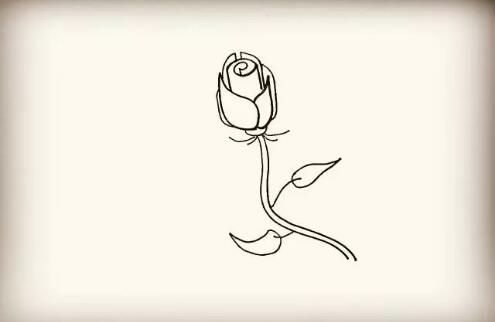 紫玫瑰花簡(jiǎn)筆畫(huà)教程圖片