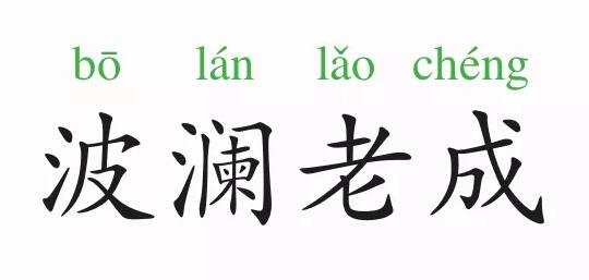 成語(yǔ)故事:波瀾老成