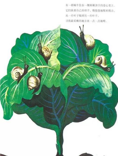 兒童繪本故事《世界上最大的房子》