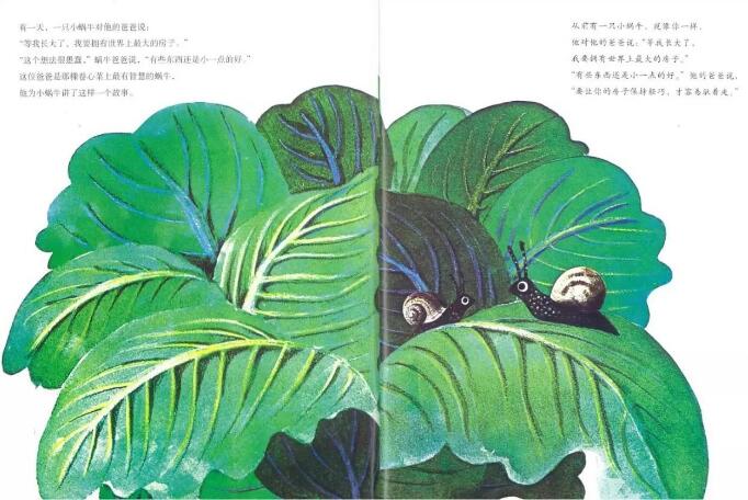 兒童繪本故事《世界上最大的房子》