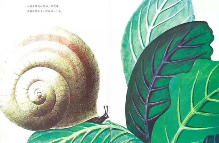 兒童繪本故事《世界上最大的房子》