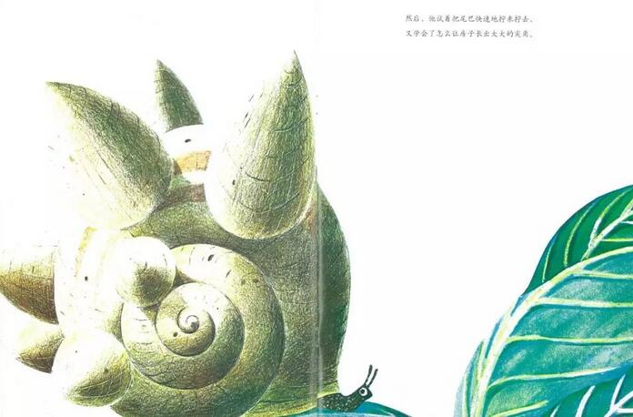兒童繪本故事《世界上最大的房子》