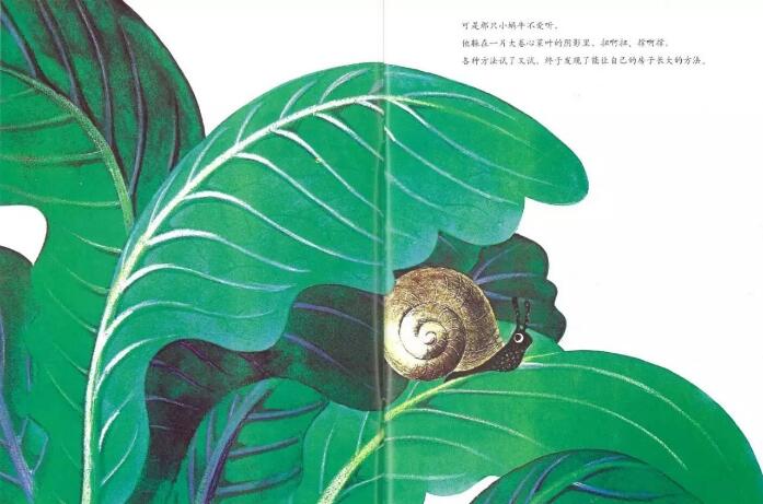 兒童繪本故事《世界上最大的房子》