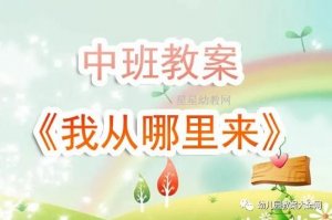 幼兒園中班《我從哪里來》教案反思