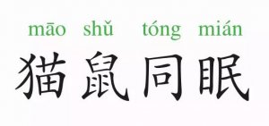 成語故事：貓鼠同眠