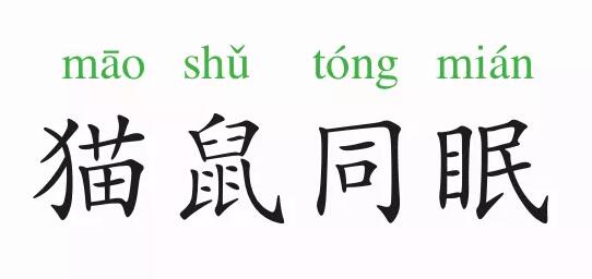 成語故事:貓鼠同眠