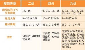 宮頸癌疫苗二價四價九價的區(qū)別