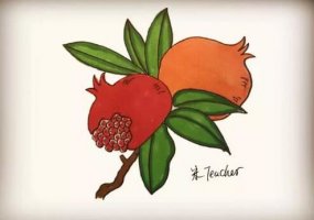 紅紅的石榴簡筆畫教程圖片