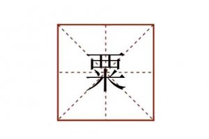 粟怎么讀
