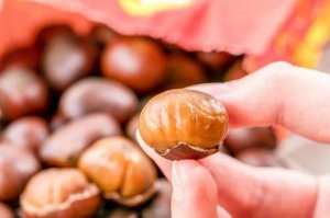 孕婦能吃栗子嗎