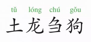 成語故事：土龍芻狗