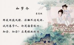 知否知否應(yīng)是綠肥紅瘦李清照全詩(shī)帶拼音版