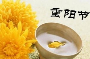 關(guān)于重陽節(jié)的作文600字