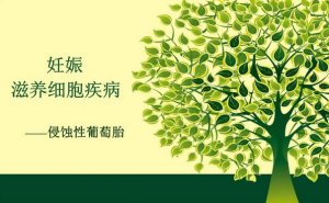 侵蝕性葡萄胎是什么意思