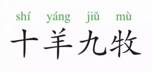 成語(yǔ)故事：十羊九牧
