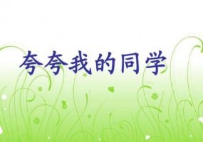 夸夸我的同學(xué)作文500字