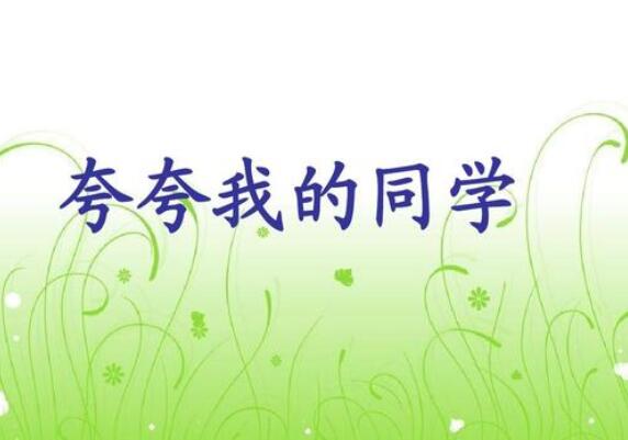 夸夸我的同學作文500字