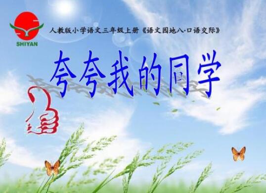 夸夸我的同學作文500字