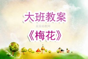 幼兒園大班《梅花》教案及反思