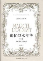 《追憶似水年華》小說(shuō)簡(jiǎn)介推薦理由、讀后感
