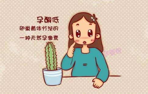 孕酮低吃什么補(bǔ)得快