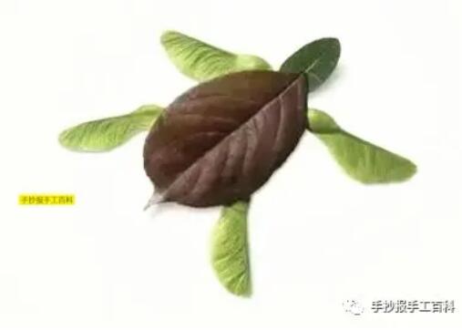 用樹葉做的手工貼畫圖片大全