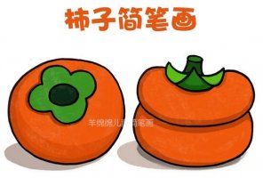 水果柿子的2種簡(jiǎn)筆畫教程圖片