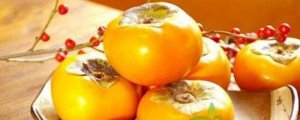 柿子怎么催熟最簡(jiǎn)單的方法