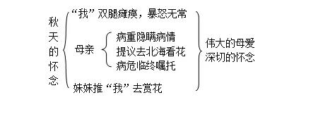 《秋天的懷念》教案教學(xué)設(shè)計