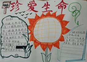 珍愛生命手抄報內容圖片好看又簡單