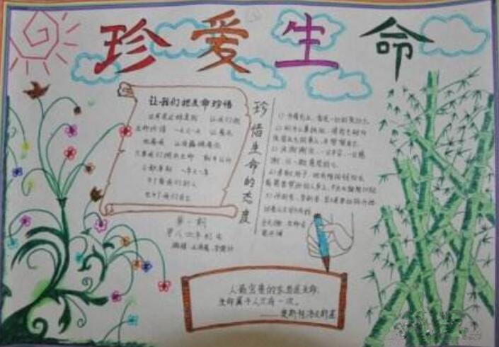 珍愛生命手抄報(bào)內(nèi)容圖片好看又簡(jiǎn)單