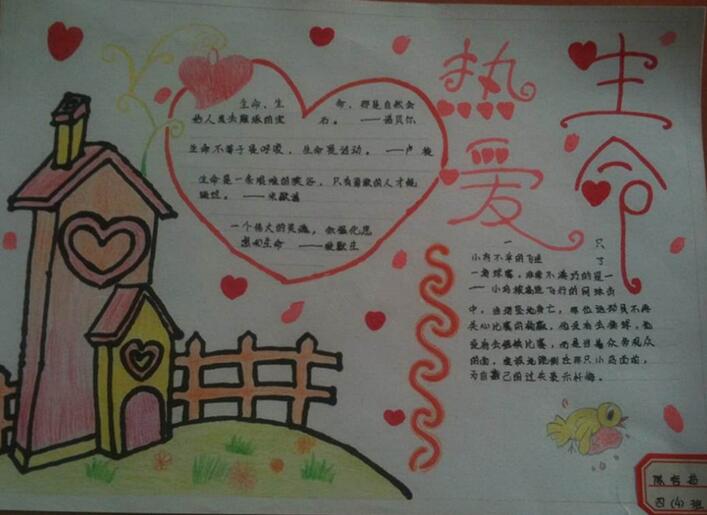 珍愛生命手抄報(bào)內(nèi)容圖片好看又簡(jiǎn)單