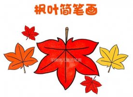 秋天的楓葉簡筆畫教程圖片，霜葉紅于二月花