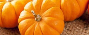 南瓜的英文 pumpkin怎么讀
