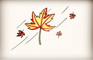 秋天的楓葉簡(jiǎn)筆畫教程圖片