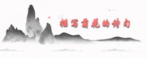 關(guān)于描寫菊花的詩(shī)句