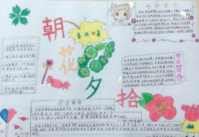 朝花夕拾手抄報初一 內容圖片簡單