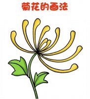 重陽節(jié)菊花簡筆畫教程圖片