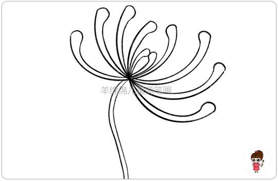 重陽節(jié)菊花簡筆畫教程圖片