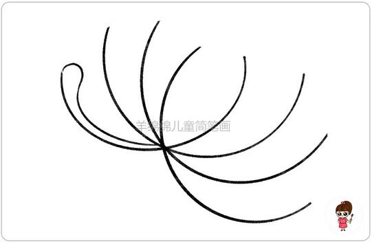 重陽節(jié)菊花簡筆畫教程圖片