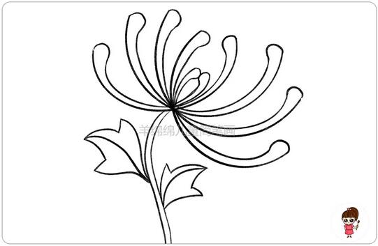 重陽節(jié)菊花簡筆畫教程圖片