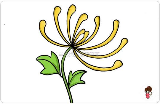 重陽節(jié)菊花簡筆畫教程圖片