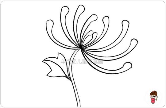 重陽節(jié)菊花簡筆畫教程圖片