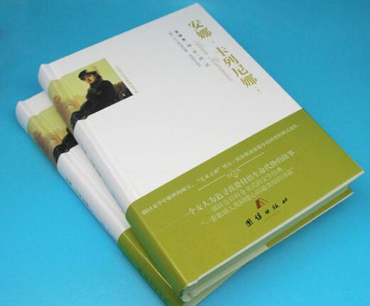 《安娜卡列尼娜》讀后感600字