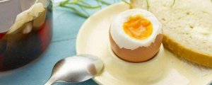 小孩感冒能吃雞蛋嗎
